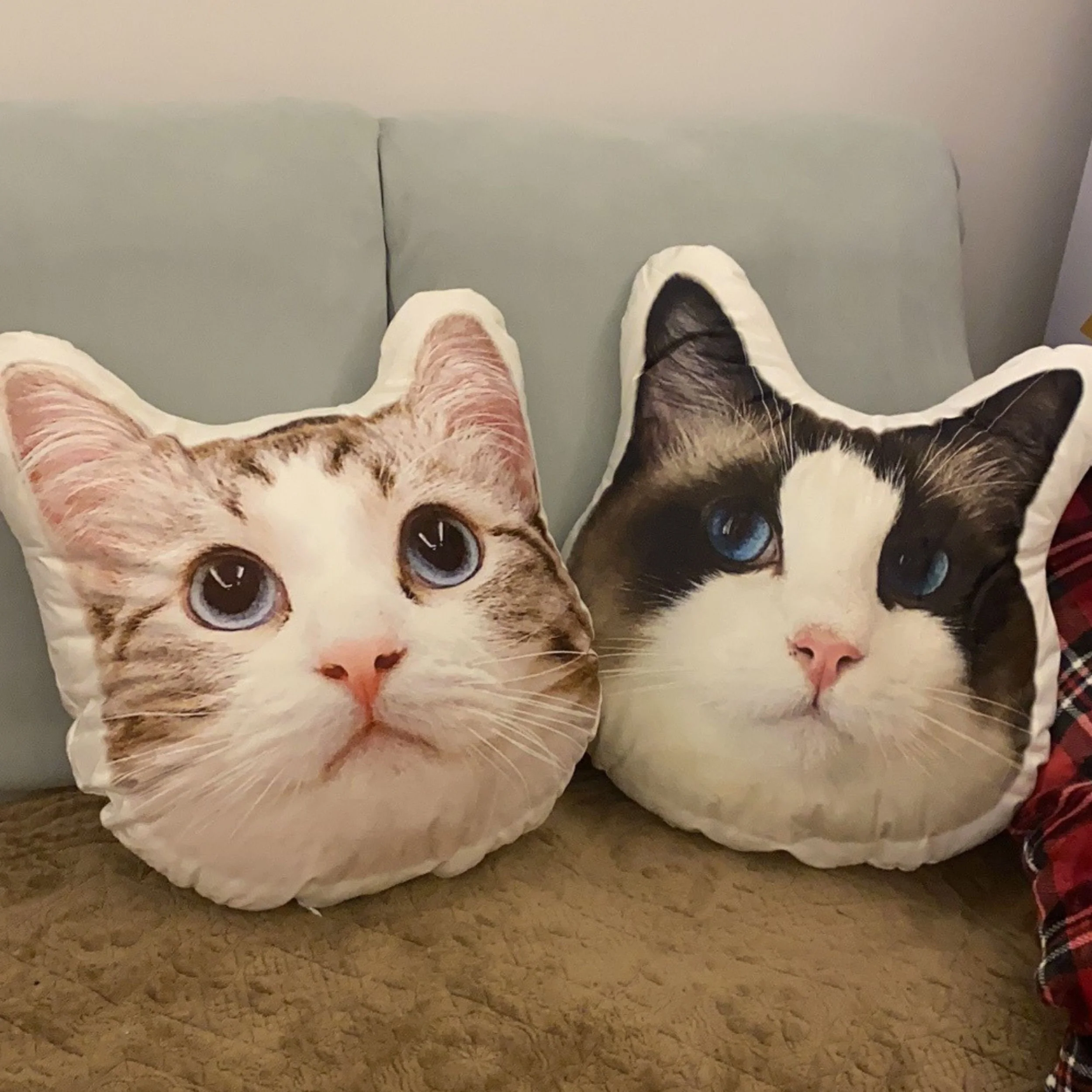 Turn Photos into Pillows - Image 6