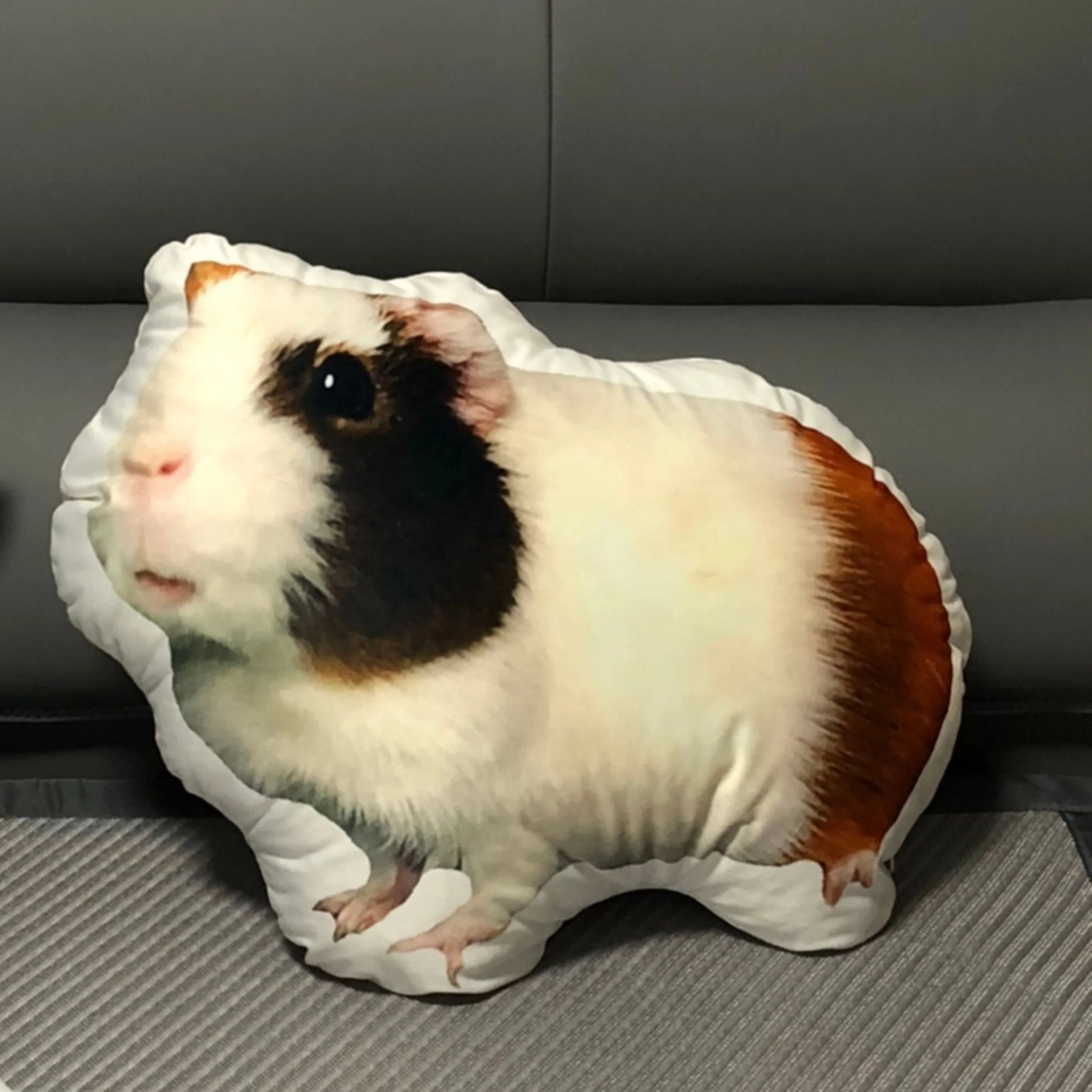 Turn Photos into Pillows - Image 7