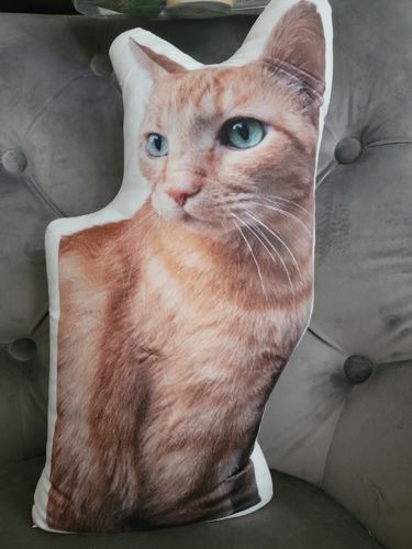 Turn Photos into Pillows - Image 9
