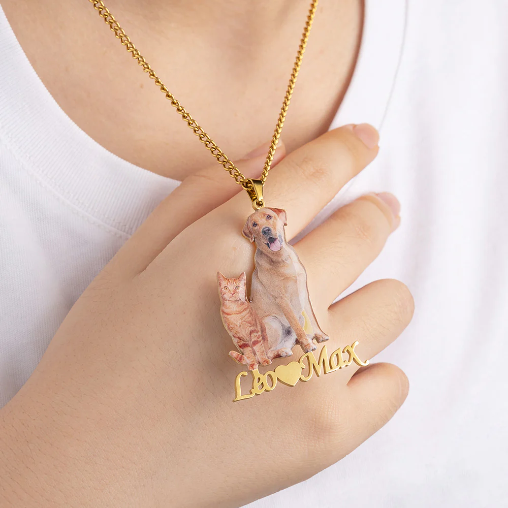 Turn Pet into Necklace - Image 3